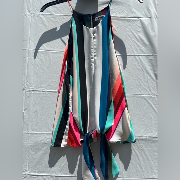 Express Multicolor Striped Dress - Picture 4 of 4